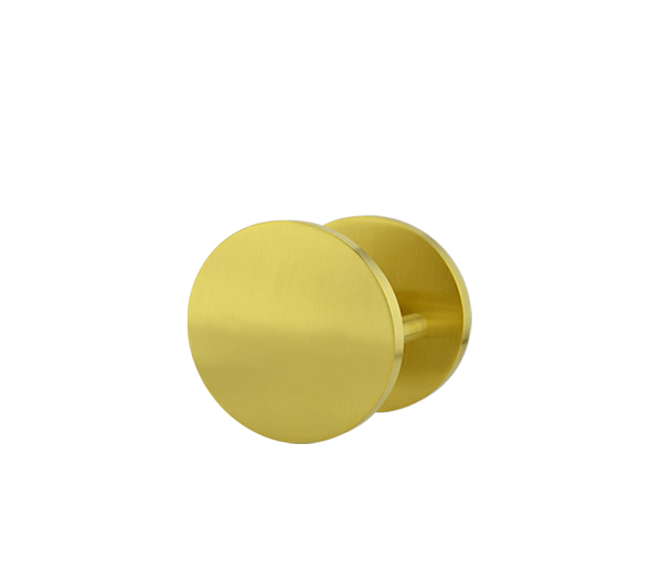 Brass Finish 100mm Circular Plate Door Pulls (Pair) - Nash Series