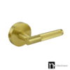Brushed Brass Finish Dummy Handle -  Esperance Series